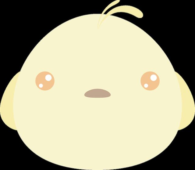 武契奇：塞中联合机器人工厂一个月后开业