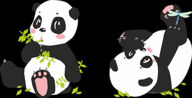 可选消费行业家电中期策略：科技成长×红利压舱