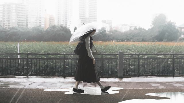 数字技术让“传统”焕“新彩”