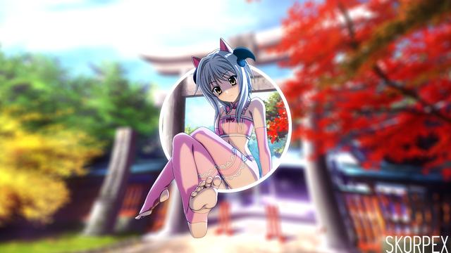 从台北到哈尔滨：台湾小提琴手的音乐“双城记”